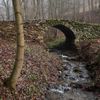 Krokonoše Svoboda, Rýchory, Sklenářovice, Mladé buky