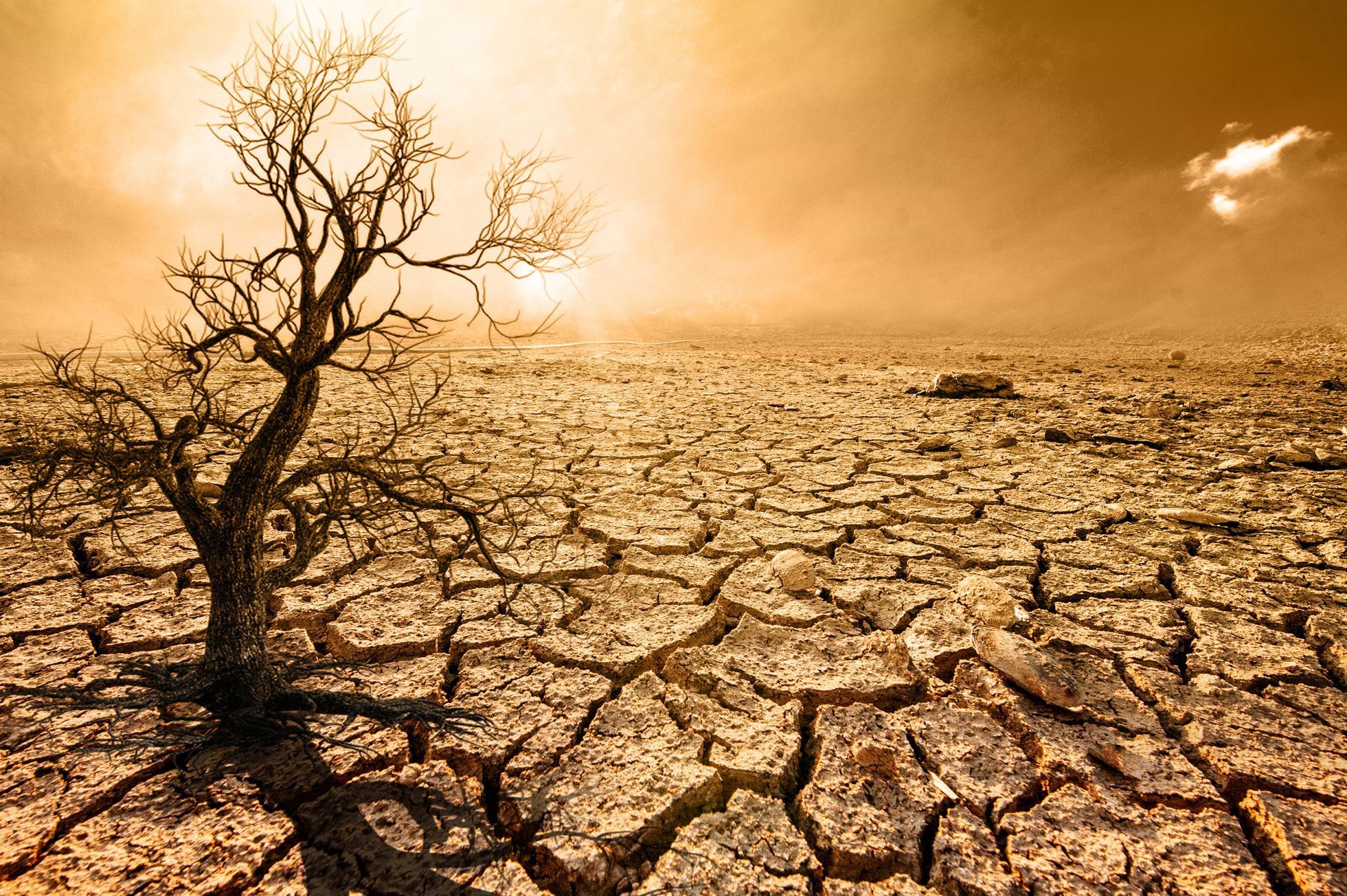 Globální oteplování, klimatické změny, sucho, ilustrační foto