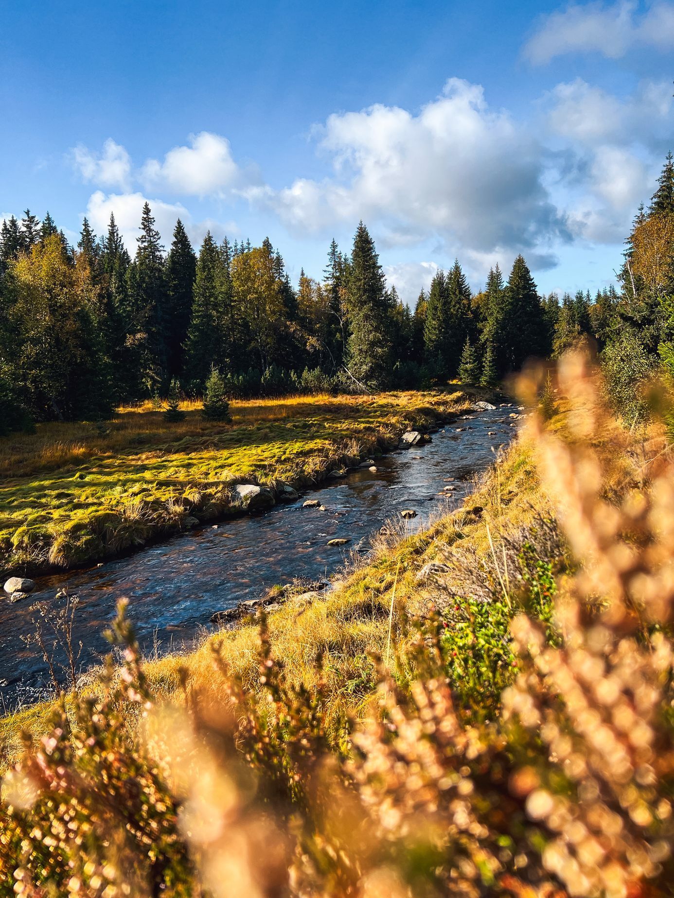 Hanka šla část Stezky Českem s malým synem v kočárku