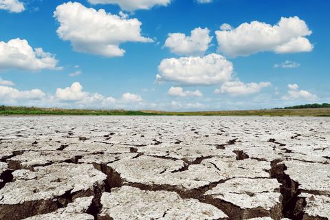 Planeta se zahřívá, letošní léto boří rekordy. Podívejte se, kde naměřili extrémní teploty