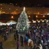 Vánoční Strom Karlovy Vary  2019