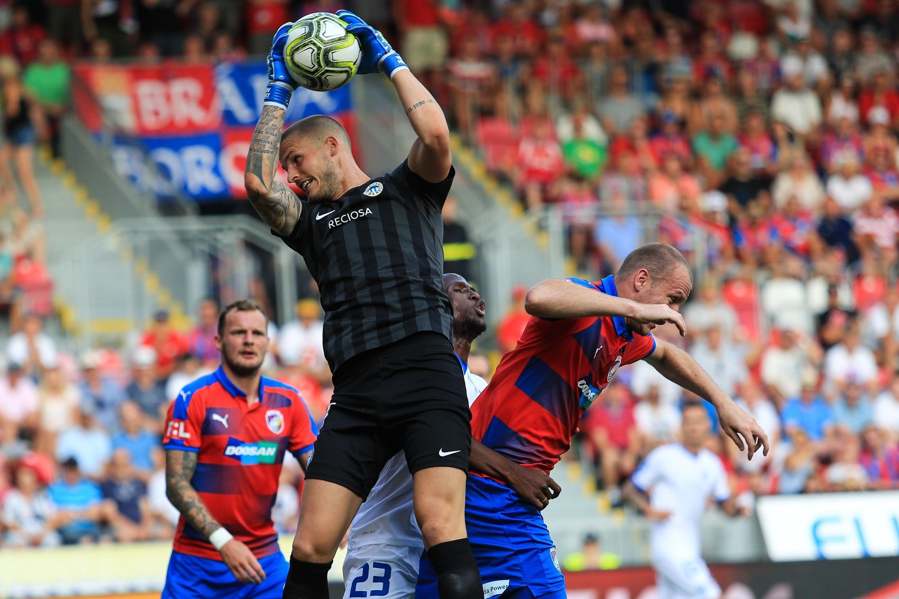 FORTUNA:LIGA: Plzeň vs. Liberec