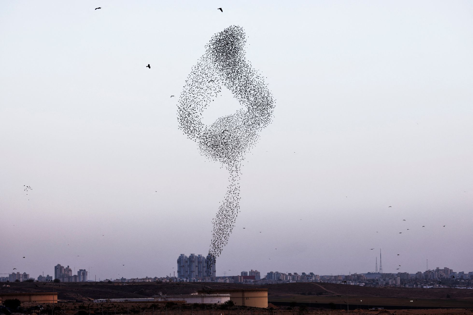 Zvířata, Reuters, Top fotografie roku 2022, výběr, nejlepší foto, Lifestyle