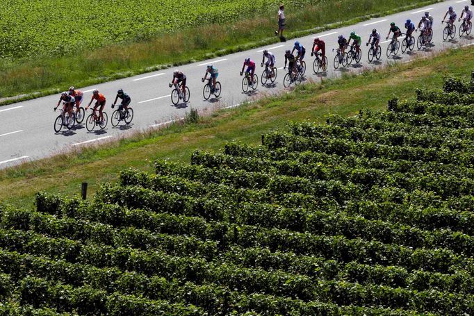 Cyklistický peloton během desáté etapy Tour de France 2012.