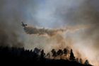 S požáry v Portugalsku a v Itálii bojují už tisíce hasičů, pro italské zemědělství je to katastrofa