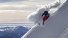 Swedish freeride skier Jon Oerarbaeck speeds down in deep powder snow during a freeride skiing tour on Seegrube mountain in Innsbruck January 19, 2013. Backcountry or freeride skiers ski away from marked slopes with no set course or goals, in untamed snow, generally in remote mountainous areas. Picture taken January 19, 2013. REUTERS/ Dominic Ebenbichler (AUSTRIA - Tags: SPORT SKIING SOCIETY) Published: Led. 21, 2013, 10:20 dop.