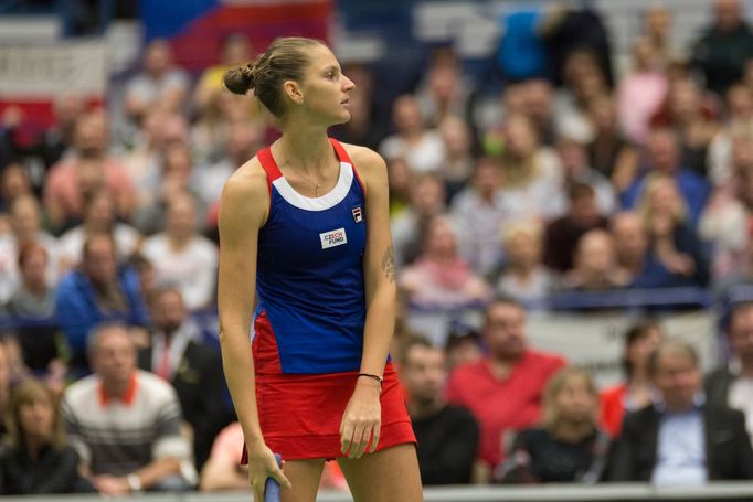 Plíšková vs. Halepová, Fed Cup, Česko vs. Rumunsko