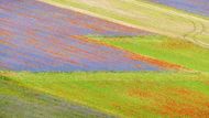 Castelluccio di Norcia leží ve středoitalské Umbrii, v přírodní rezervaci Monti Sibillini (Sibyliny hory).