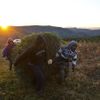 Foto: &#8220;Stromkománie&#8220; začíná. Lesníci už mají před Vánoci pohotovost.