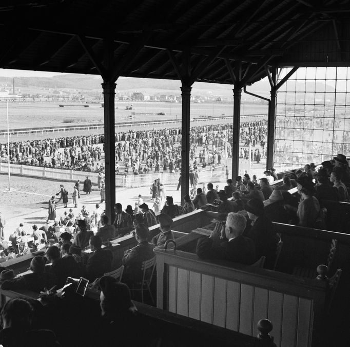 Záběr z divácké tribuny ve Velké Chuchli během dostihových závodů v roce 1940