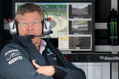 Šéf týmu F1 Mercedes Brawn ke konci roku ve stáji skončí