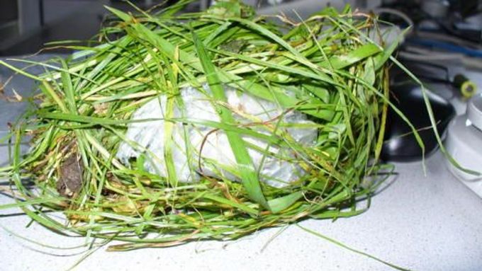 Český pervitin zabalený v trávě, který celníci objevili u muže v příhraničním městě Furth im Wald.