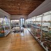 Muzeum autíček Příseka