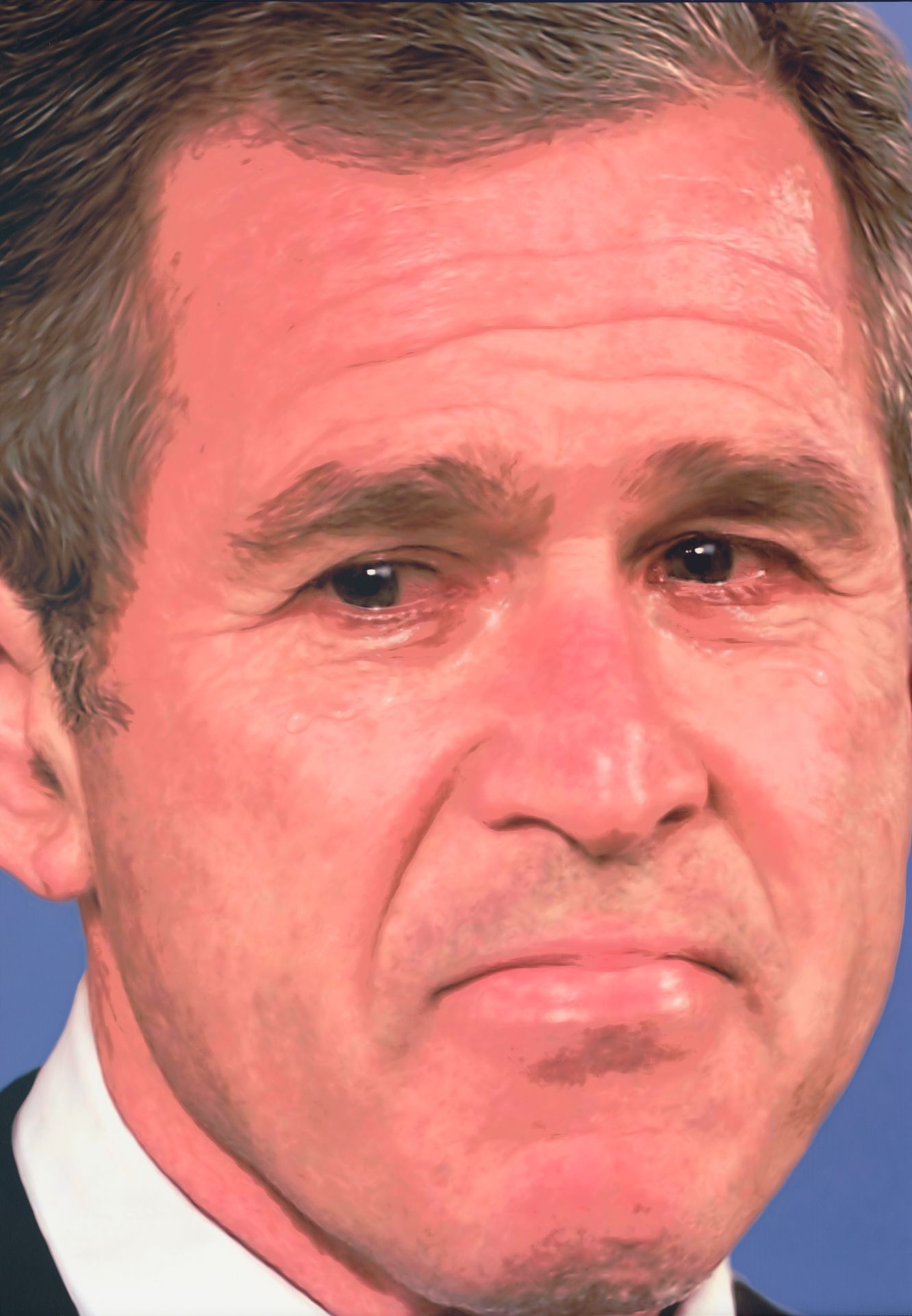Jiří David: George Bush, 2001 až 2002