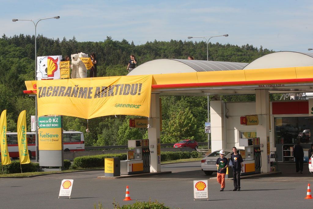 Medvědi nechtějí Shell v Arktidě