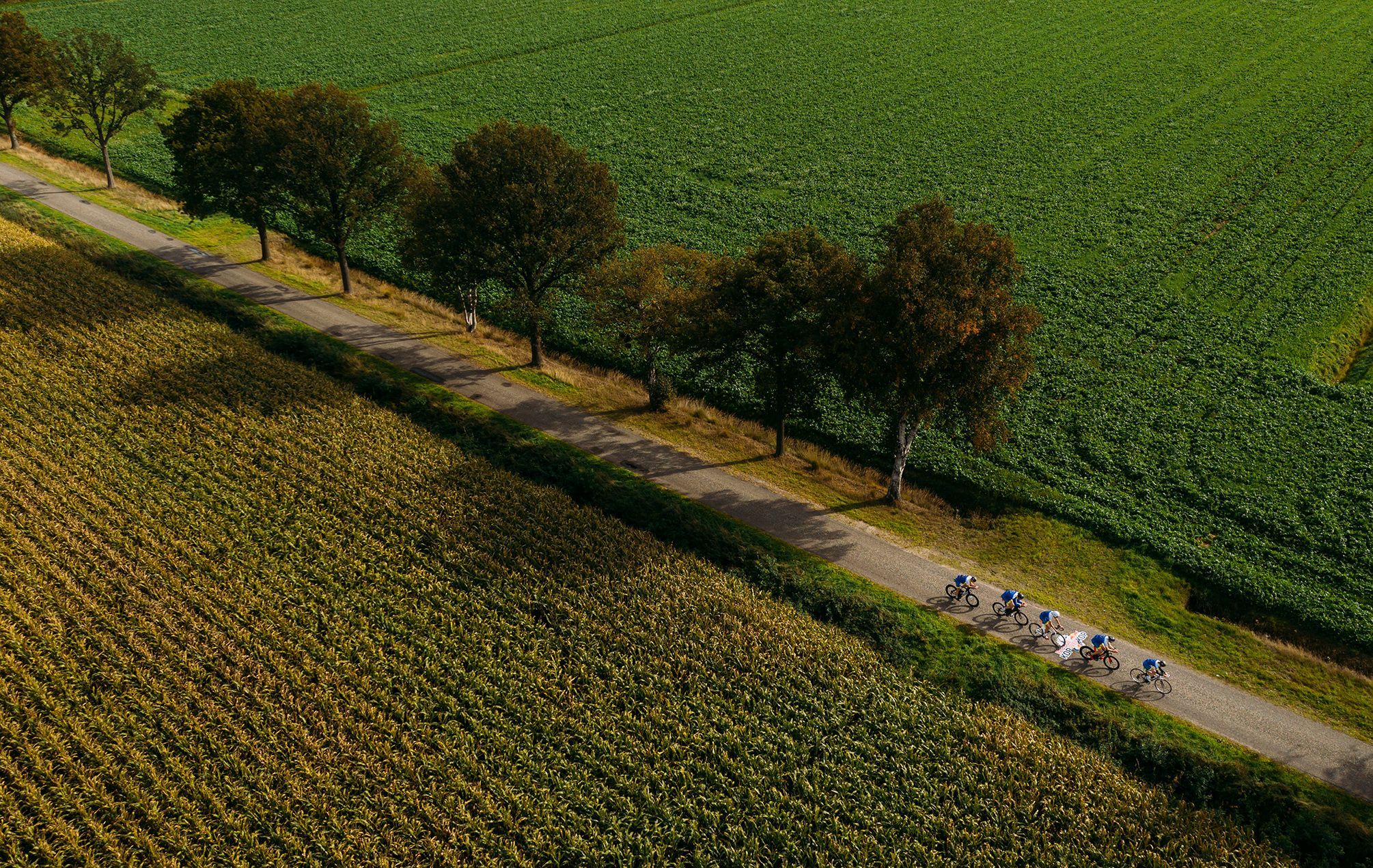 Extrémní sporty pohledem z výšky (Red Bull Content Pool)