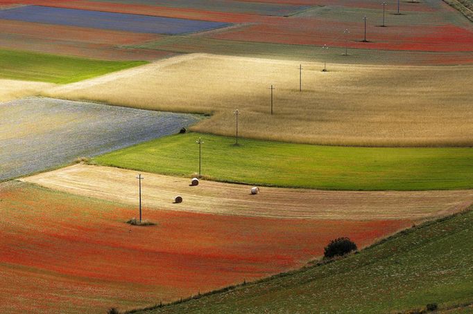 Rozkvetlá letní pole v okolí italské vesnice Castelluccio di Norcia