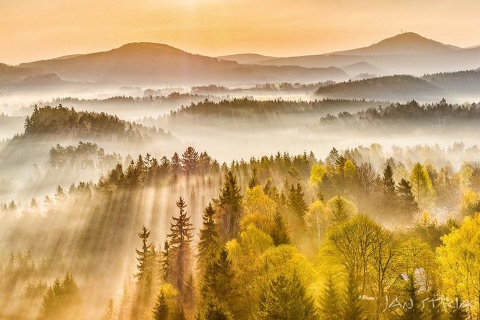 Jan Stria, ukázky z tvorby vítěze soutěže Czech Nature Photo 2019