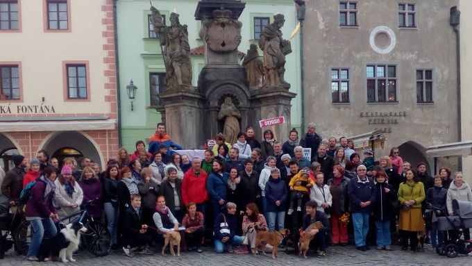 Lidé, kteří letos v květnu protestovali proti premiéru Andreji Babišovi a Marii Benešové v Českém Krumlově. Podobně se sešli lidé na více než sto místech po celé zemi.