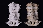 Lidské orgány ve 3D. Unikátní modely pro všechny, kteří chtějí lépe poznat anatomii