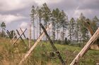 Lesy na Vysočině u Pelhřimova, srpen 2022.