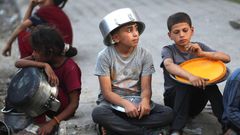 Palestina, Izrael, Gaza, OSN, WHO, pomoc, potraviny