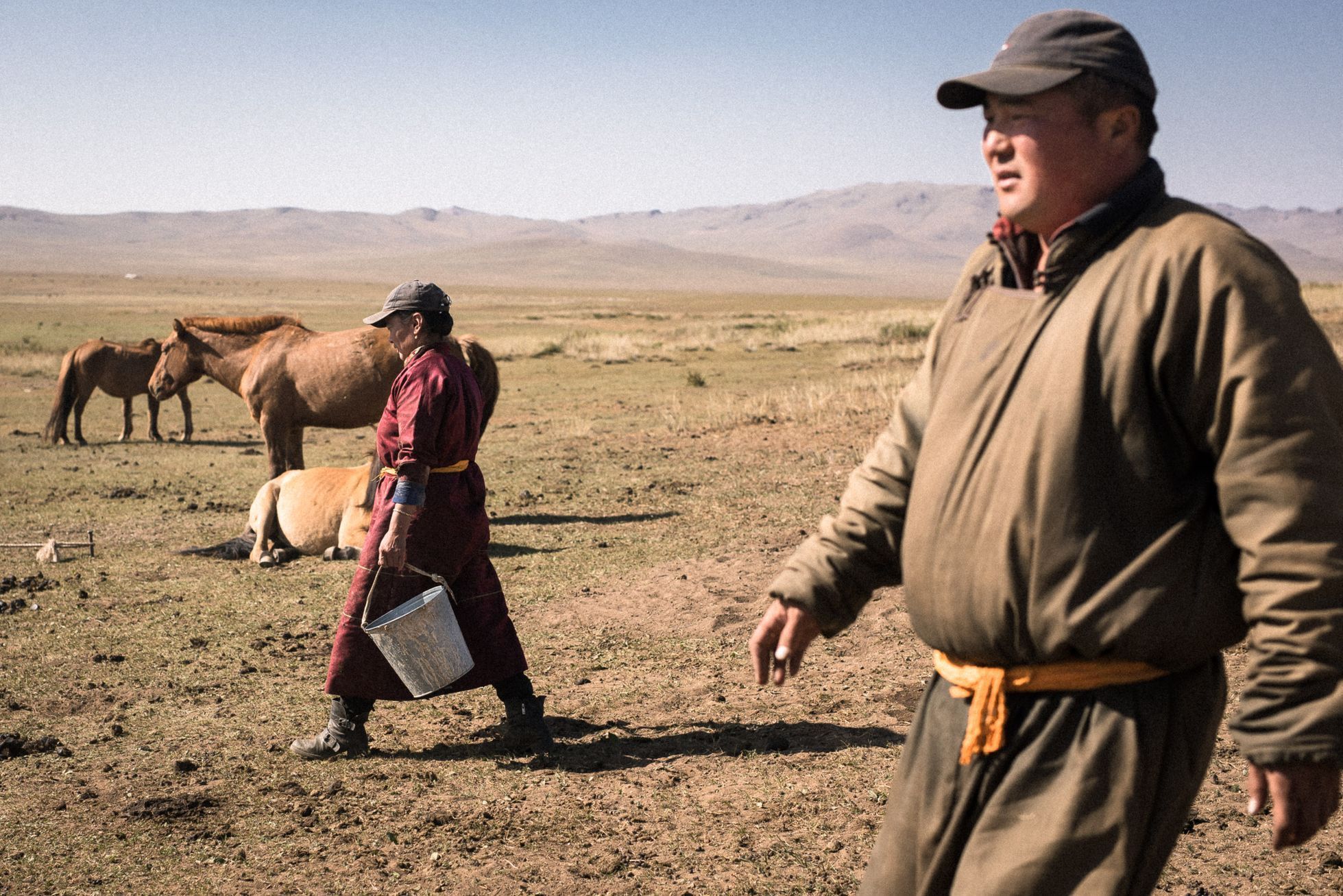 Mongolsko, mongolové, pastevci, pastevec, jurta, kůň, koně, poušť Gobi