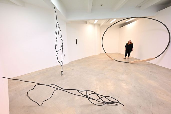 Snímek z výstavy Mii Milgrom v brněnské Fait Gallery.