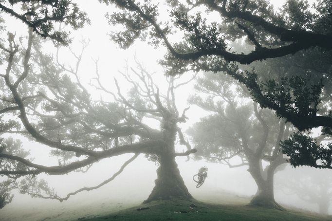 Name of photographer / Red Bull Illume Photographer: Janik Steiner, Athlete: Korbinian Engstler, Location: Fanal Forest, Madeira, Portugal