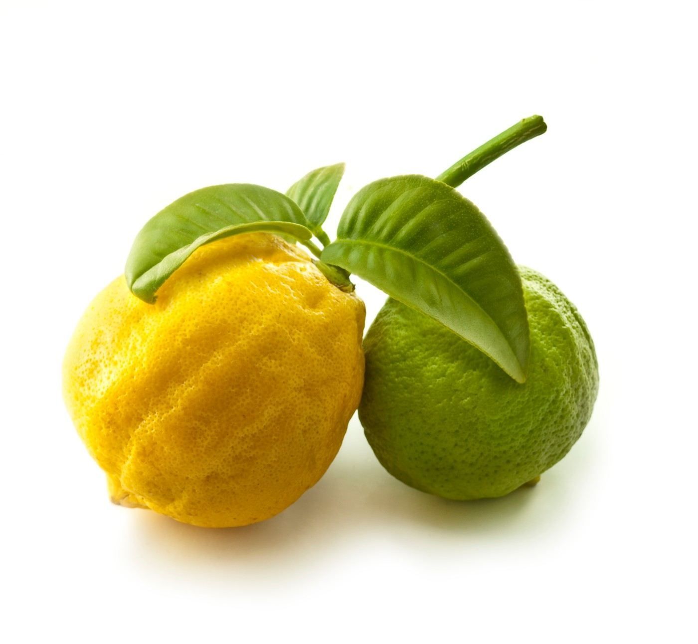 Citrus - bergamot