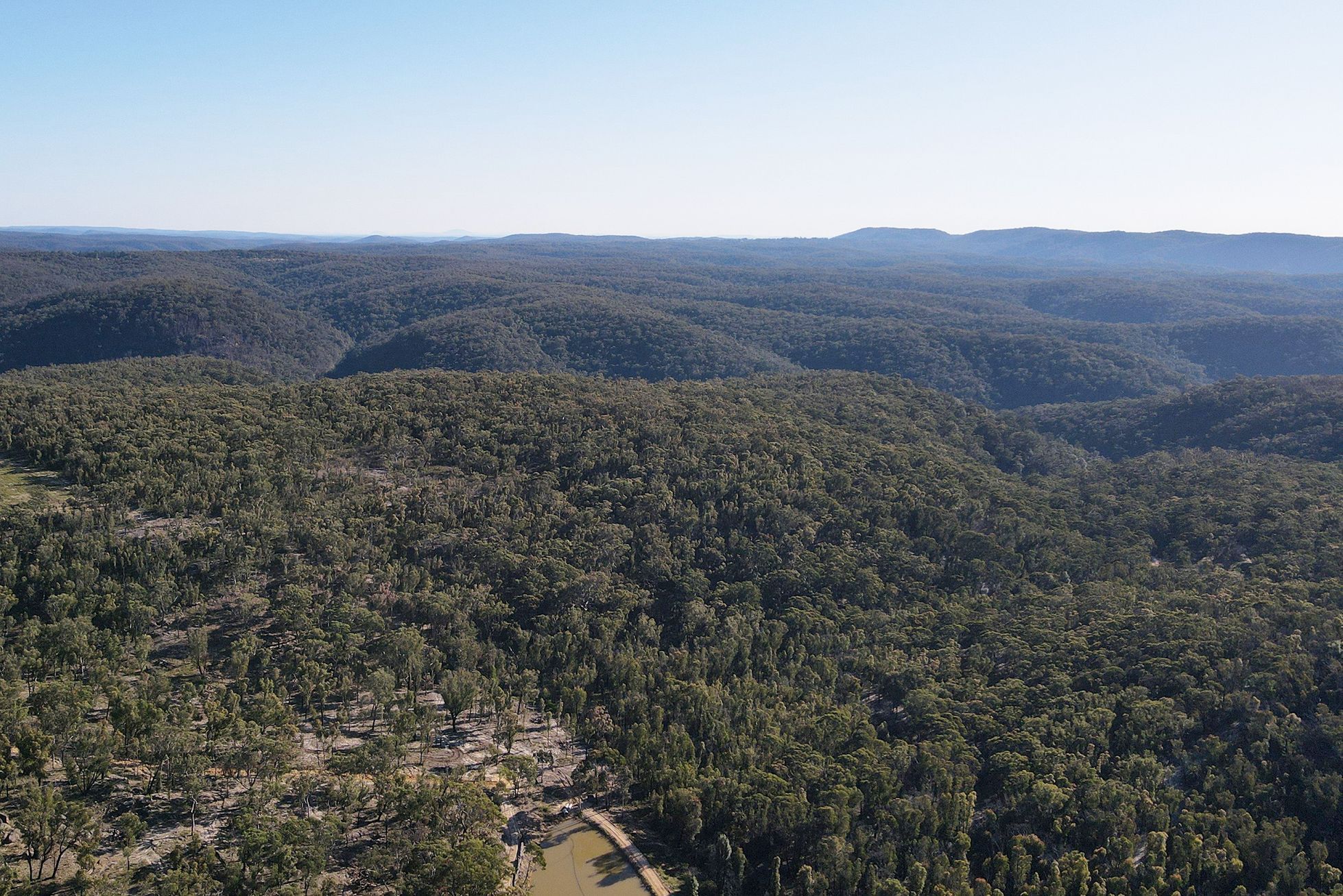 Jednorázové užití / Fotogalerie / Spása koal, která vám zachrání den