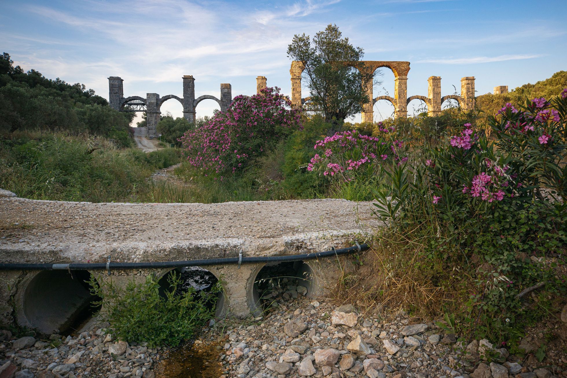 Lesbos turistické tipy, turismus, historie, antické památky, akvadukt, zkamenělý les UNESCO