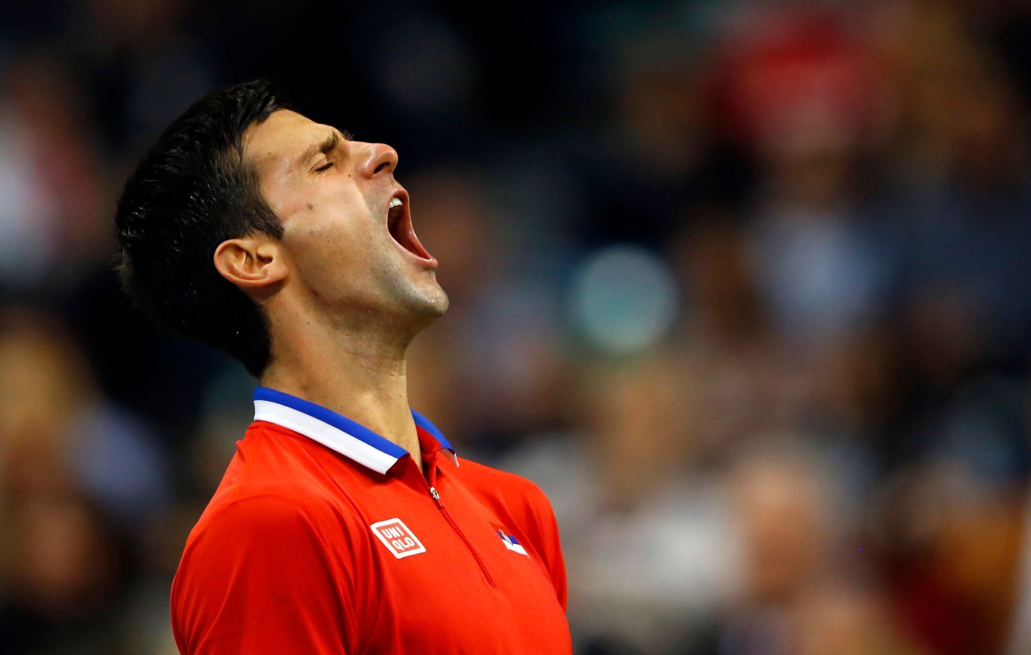 Novak Djokovič ve finále Davisova poháru v utkání proti Štěpánkovi