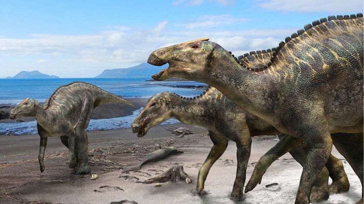 Japonci objevili nový druh dinosaura. Pojmenovali ho "ještěří bůh"