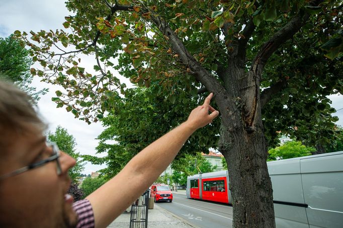 Adaptační proti změně klimatu v Praze.