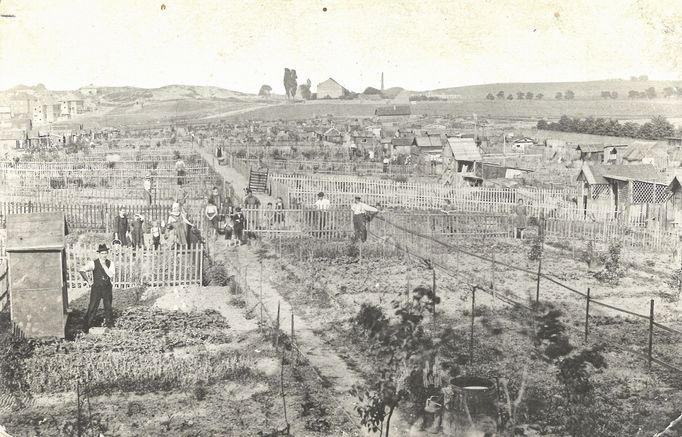 Zahrádkářská kolonie, která stávala za žižkovskou Kapslovnou. Rok 1923