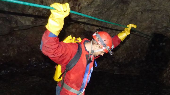 Sucho ohrožuje Moravský kras. Na povrchu usychají stromy, z jeskyň mizí živočichové