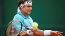 David Ferrer na French Open 2018