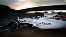 F1 2015: Felipe Massa, Williams