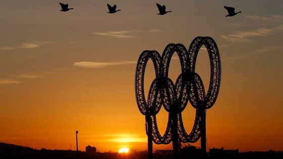 Nejzajímavější snímky roku 2010 od fotografů agentury Reuters