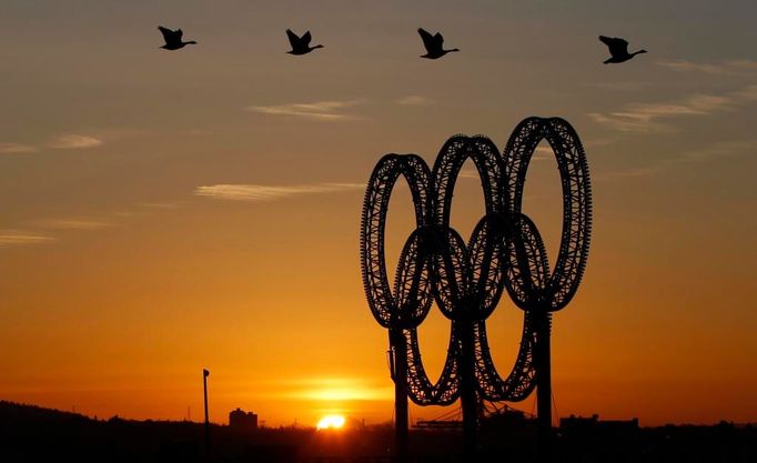 Husy přelétávají za rozbřesku nad olympijskými kruhy ve Vancouveru, kde se konala zimní olympiáda.