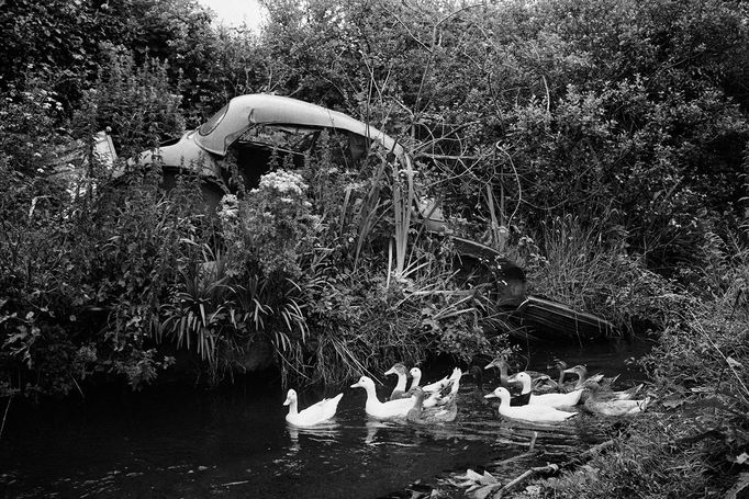 Martin Parr získal cenu za významný přínos světové fotografii