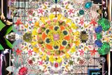 Nový brand Moooi Carpets a s ním revoluční kolekci koberců Moooi Signatures navržených předními světovými designéry - Jewels Garden by Sacha Walckhoff