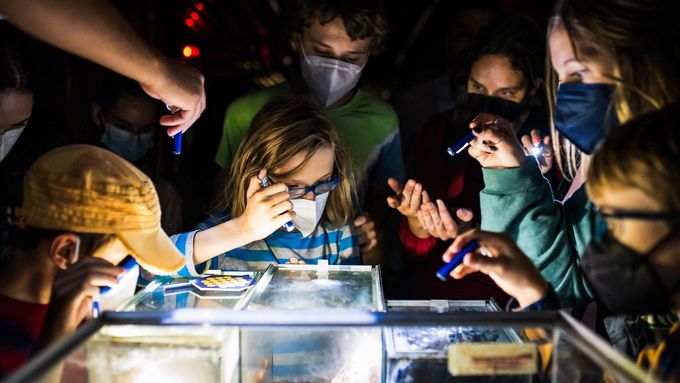 Foto: Tak vypadá zábavná věda. Laici zkoumají laser či elektřinu a operují kosti
