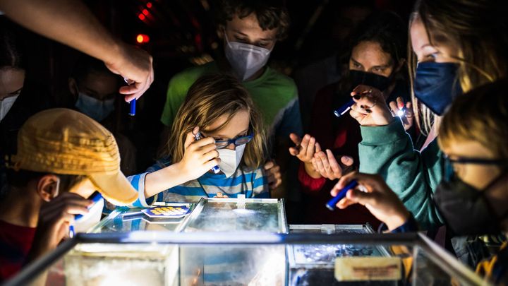 Foto: Show plná výbuchů, laserová bitva a noční pokusy. Takováto věda baví každého; Zdroj foto: Tomáš Belloň / ÚOCHB