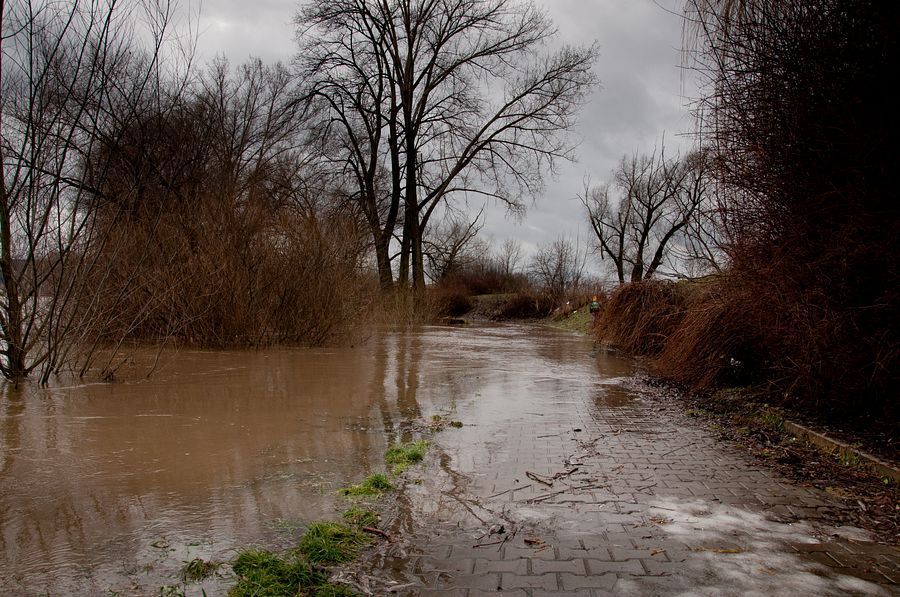 Berounka v Radotíně (14. ledna 2011)