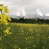 Uhelná elektrárna Turów