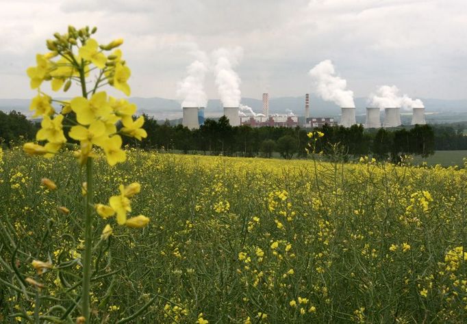 Většina uhlí z dolu se spotřebuje v elektrárně Turów, která stojí prakticky přímo na okraji dolu.