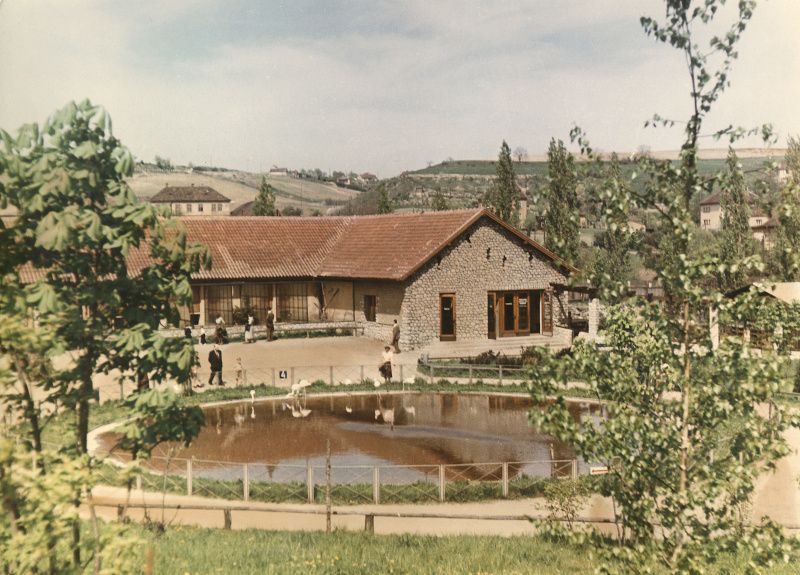 Z historie pražské zoo