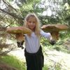 NEPOUŽÍVAT !!! Fotosoutěž houby 2017